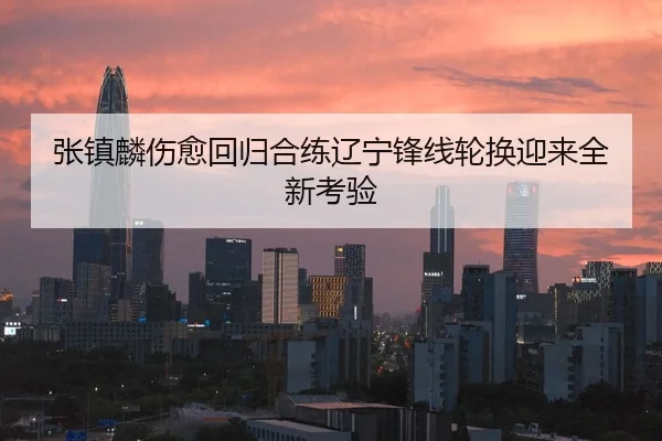 张镇麟伤愈回归合练辽宁锋线轮换迎来全新考验