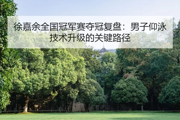 徐嘉余全国冠军赛夺冠复盘：男子仰泳技术升级的关键路径